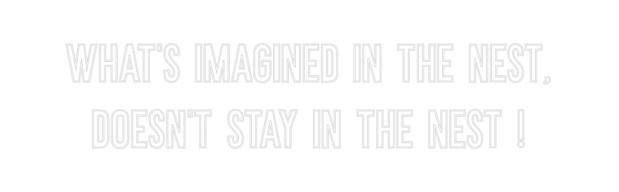 Néon personnalisé: What's imagin...