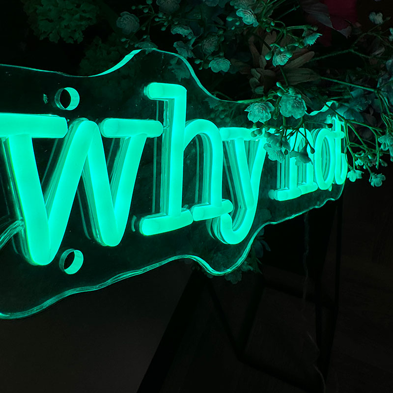 Enseigne néon Why Not