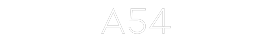 Néon personnalisé: A54
