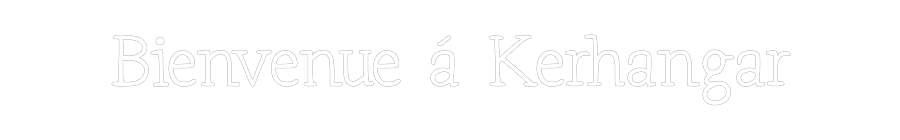 Néon personnalisé: Bienvenue à K...