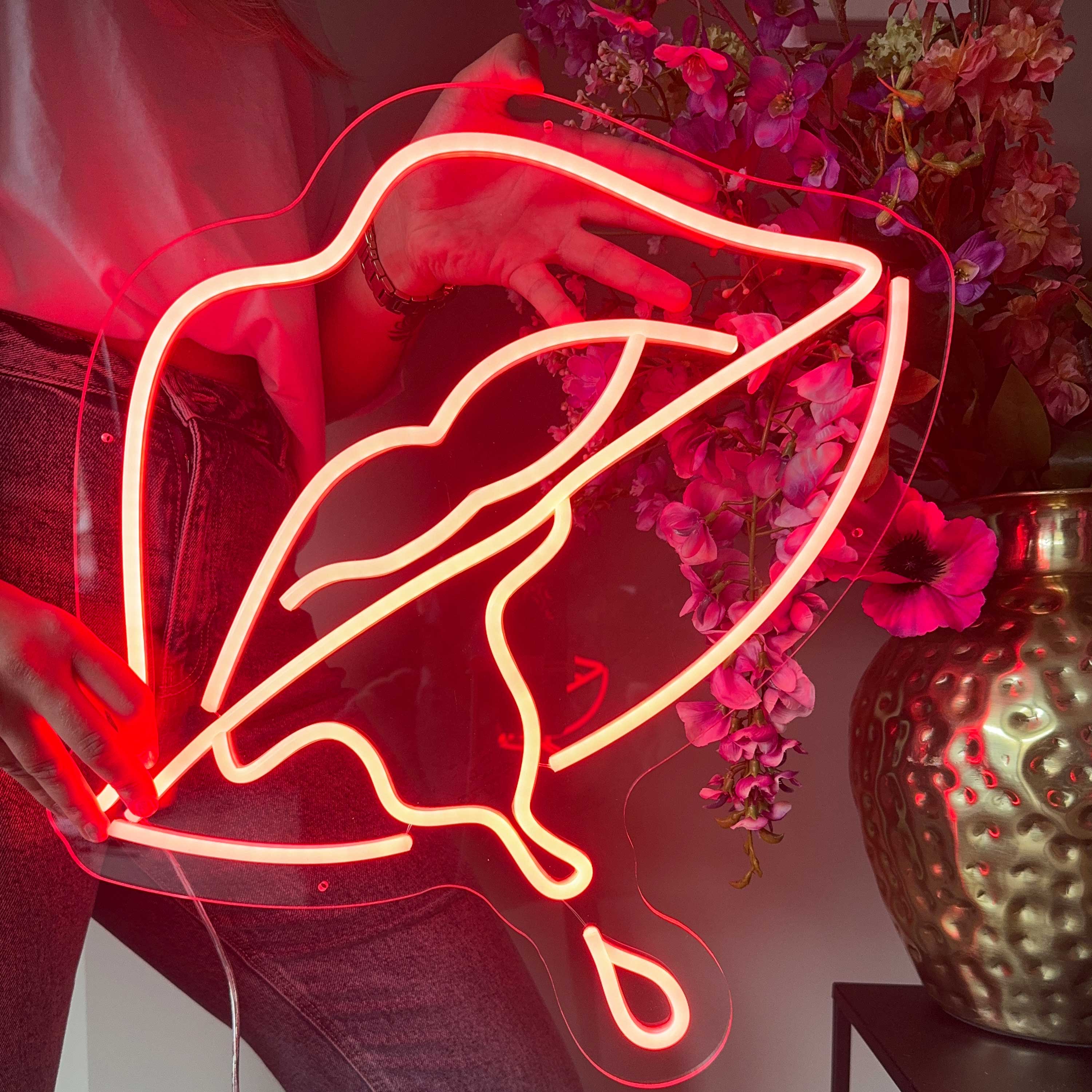 Enseigne néon Lèvres caustiques