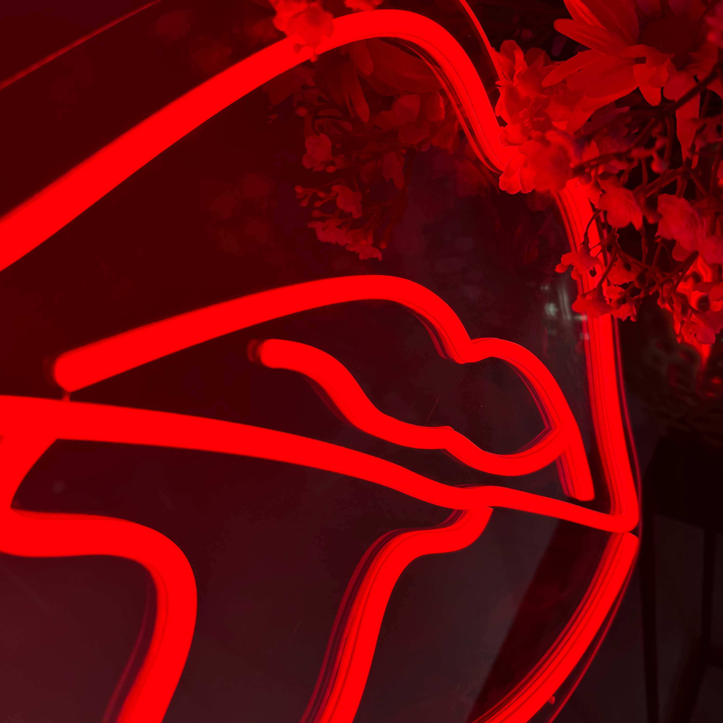 Enseigne néon Lèvres caustiques