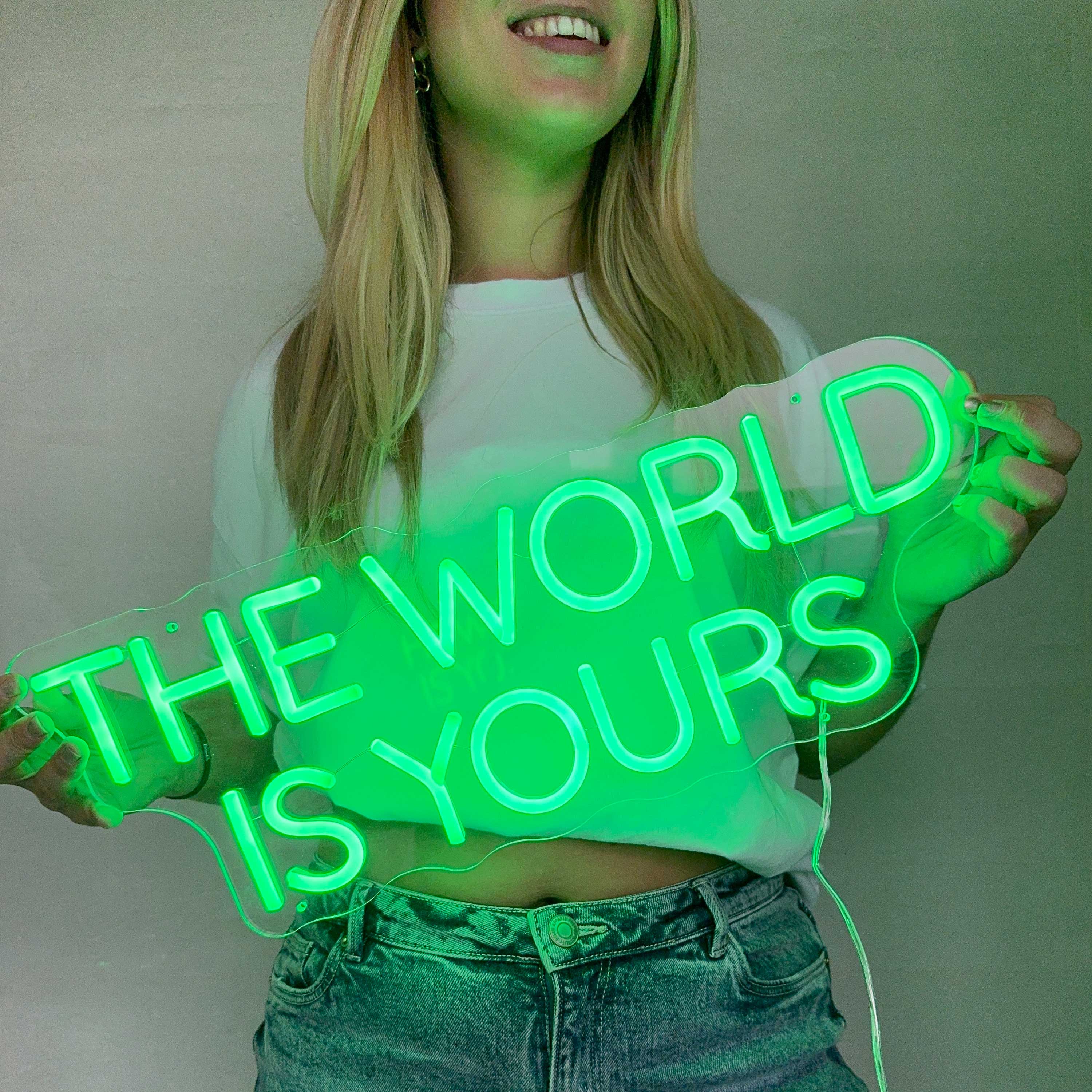 Enseigne néon The World Is Yours