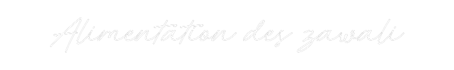 Néon personnalisé: Alimentation ...