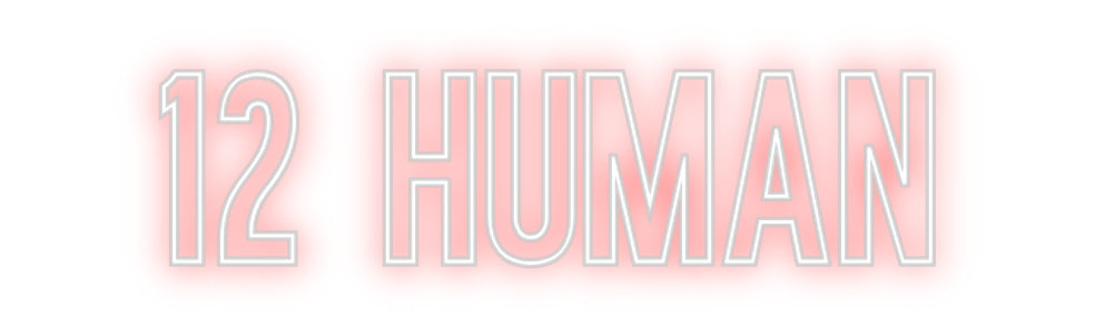 Néon personnalisé: 12 HUMAN