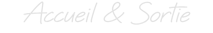 Néon personnalisé: Accueil & Sor...