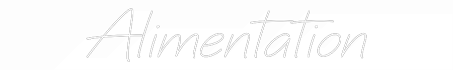 Néon personnalisé: Alimentation