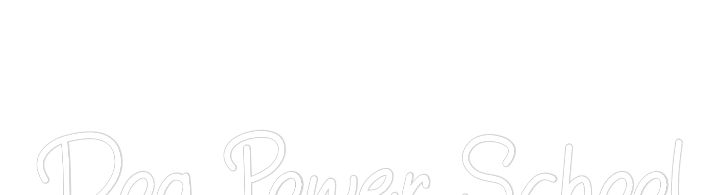 Néon personnalisé:
Dog Power S...