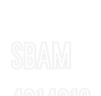 Néon personnalisé:
SBAM
4314310