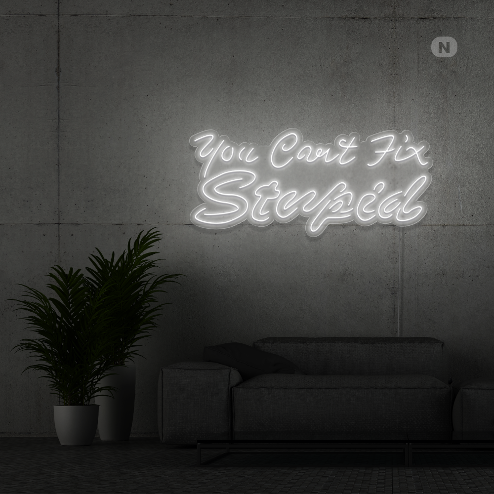 Enseigne néon you can't fix stupid