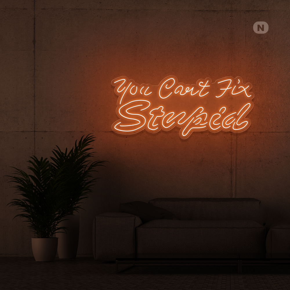 Enseigne néon you can't fix stupid