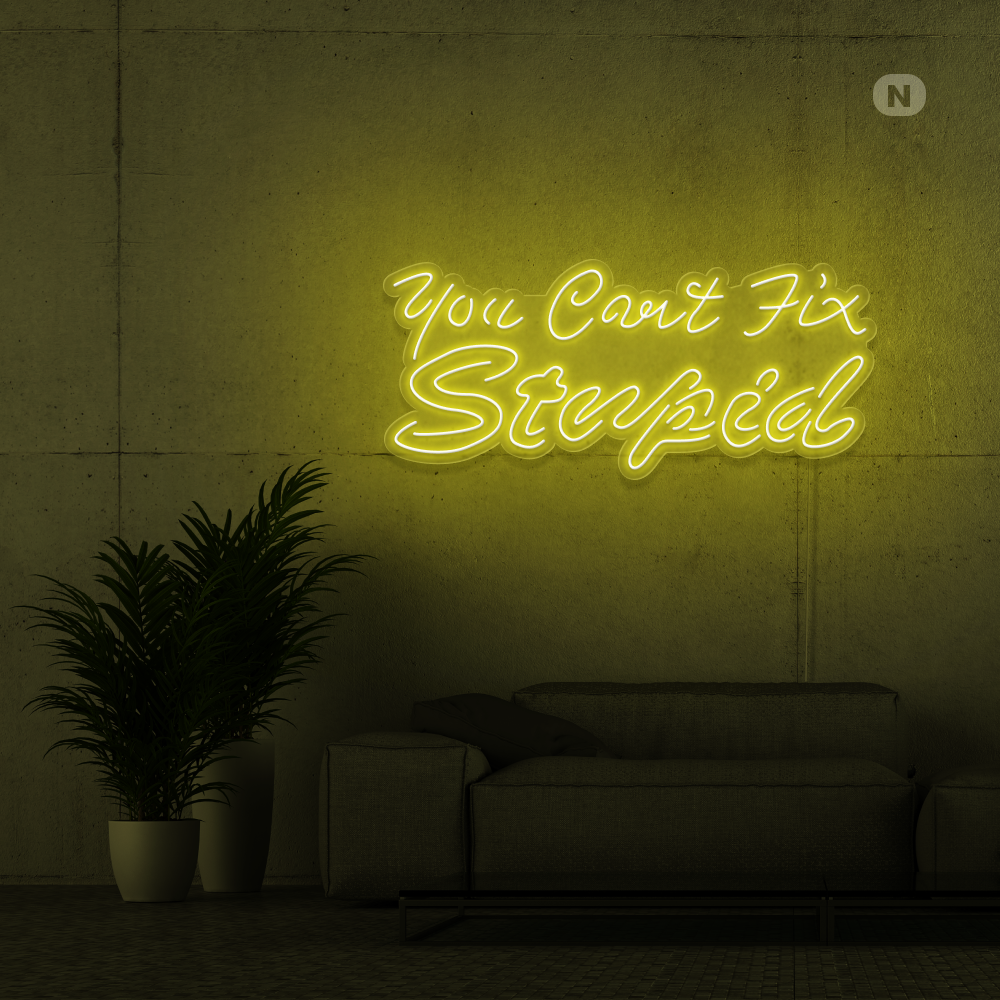 Enseigne néon you can't fix stupid