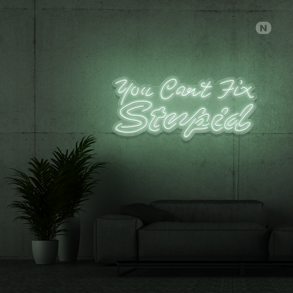 Enseigne néon you can't fix stupid