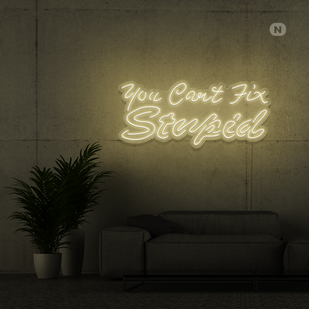 Enseigne néon you can't fix stupid