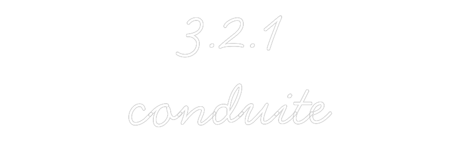 Néon personnalisé: 3.2.1
conduite