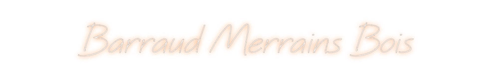 Néon personnalisé: Barraud Merra...