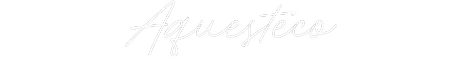 Néon personnalisé: Aquesteco